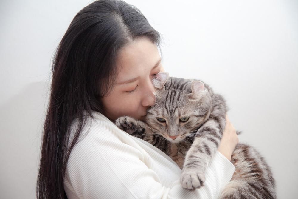 7-tips-bebas-toksoplasma-untuk-pencinta-kucing
