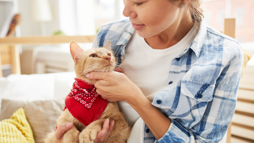 Apakah Memelihara Kucing Bikin Susah Hamil, Mitos atau Fakta?