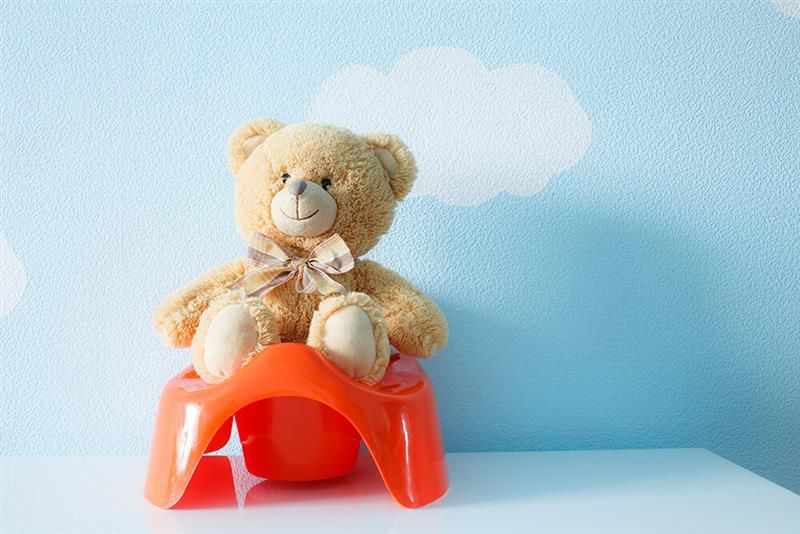 kapan-si-kecil-dapat-mulai-toilet-training