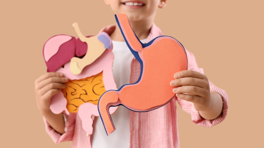 Fondasi Pencernaan Sehat untuk Tumbuh Kembang Optimal Si Kecil