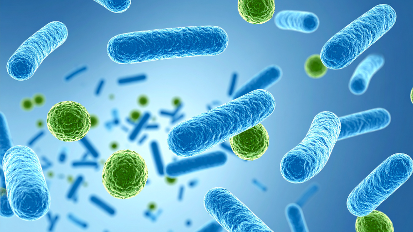 Mengenal Bifidogenic Factor: Kunci Pencernaan Sehat Si Kecil
