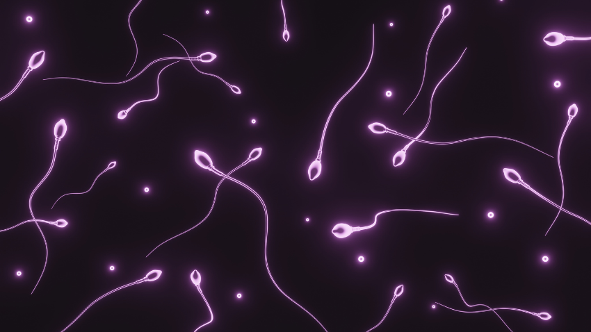 Apakah Menelan Sperma Saat Mens Bisa Hamil? Cek Faktanya