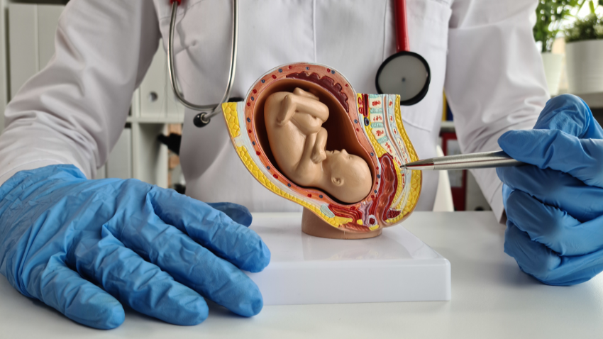 Emboli Air Ketuban: Komplikasi Langka tapi Berbahaya Saat Persalinan