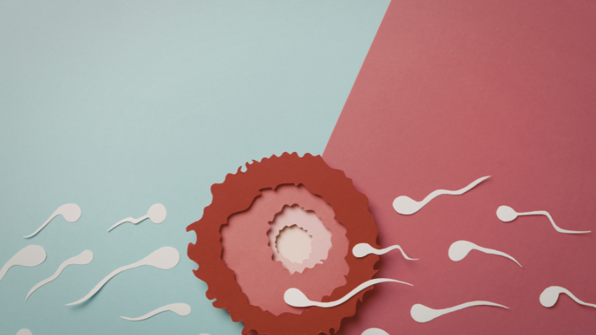 Berapa Lama Sperma Bertahan di Rahim? Cek Faktanya