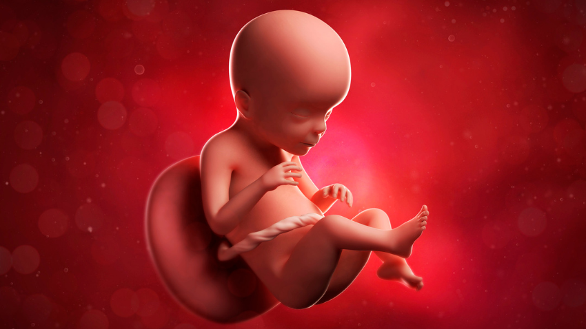 Bayi Besar dalam Kandungan (Makrosomia): Penyebab & Risiko