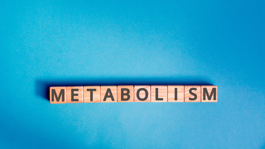 Metabolic Programming: Bagaimana Nutrisi Awal Menentukan Kesehatan Anak di Masa Depan