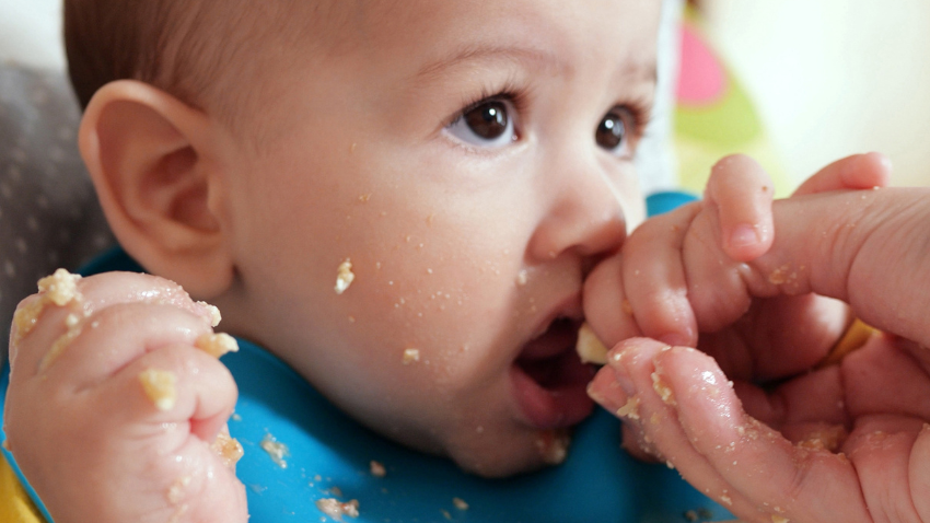 pilihan-menu-mpasi-6-bulan-untuk-penuhi-nutrisi-bayi