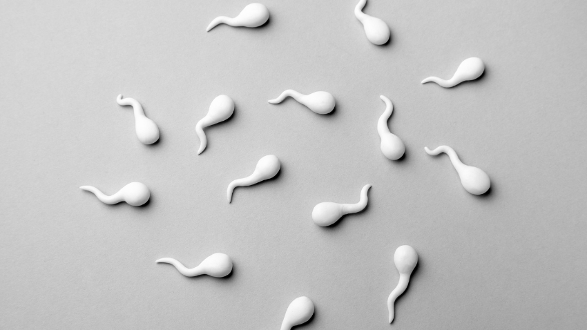 9 Makanan Penambah Sperma, Dukung Keberhasilan Promil