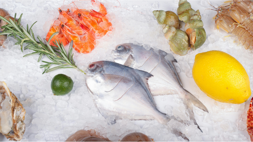 ikan-yang-bagus-untuk-mpasi-dan-alasannya