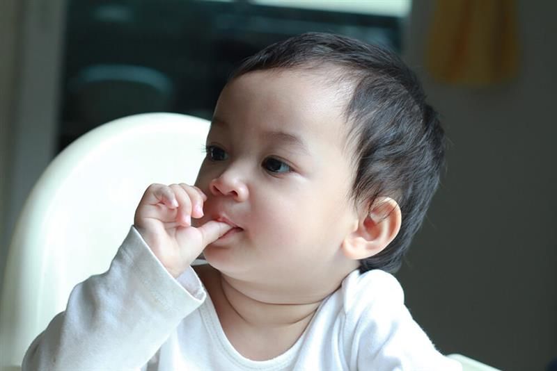 si-kecil-dan-kebiasaan-uniknya