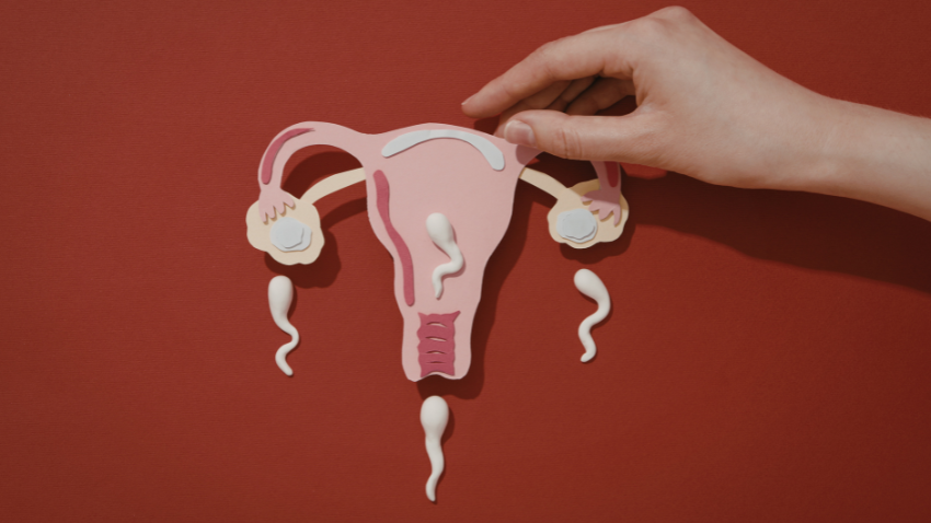 Inilah Batas Usia Kesuburan Wanita untuk Promil yang Aman