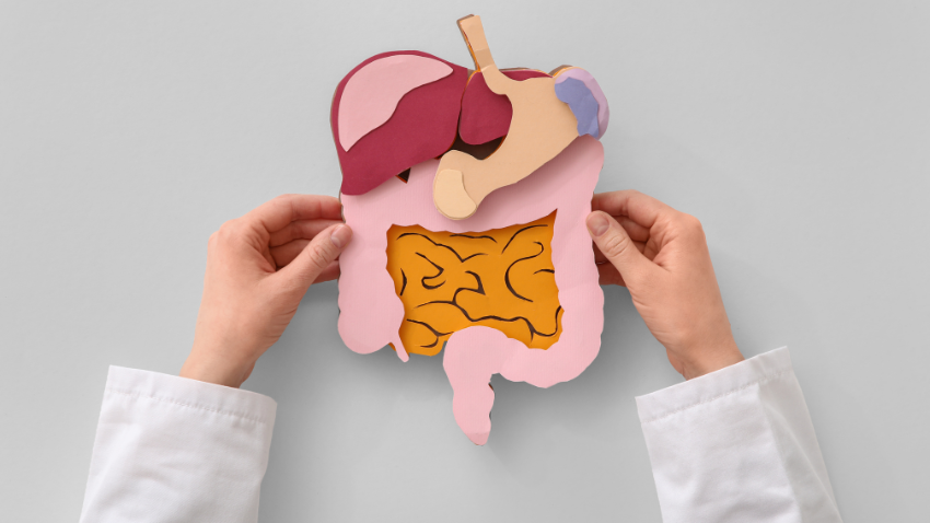 Probiotik vs Prebiotik untuk Bayi: Apa Bedanya dan Mana yang Dibutuhkan?