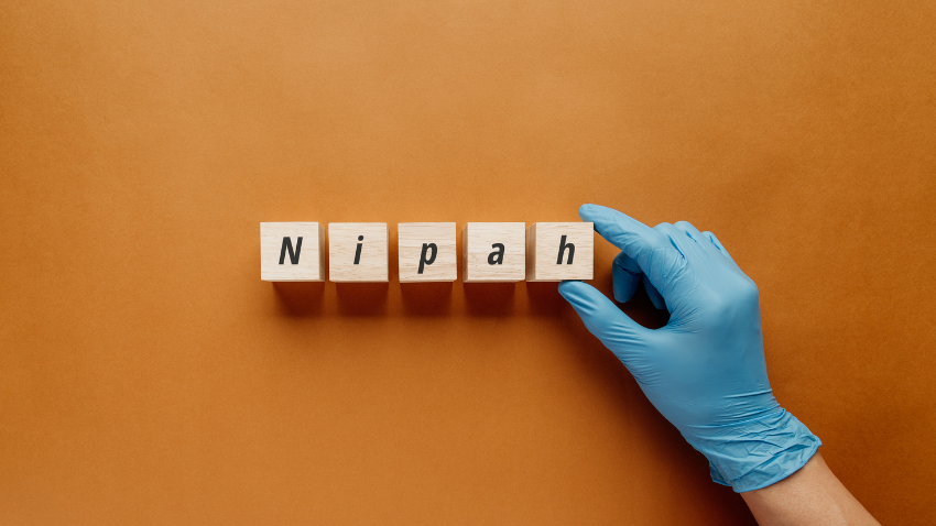 Virus Nipah: Kenali Gejala, Cara Penularan, dan Pencegahannya