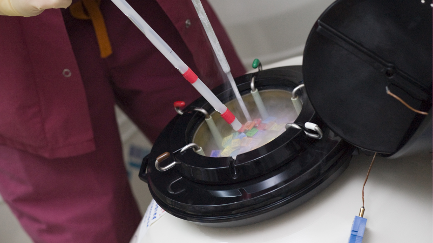 Fakta Seputar Pembekuan Sel Telur, Tujuan, Proses & Jenisnya